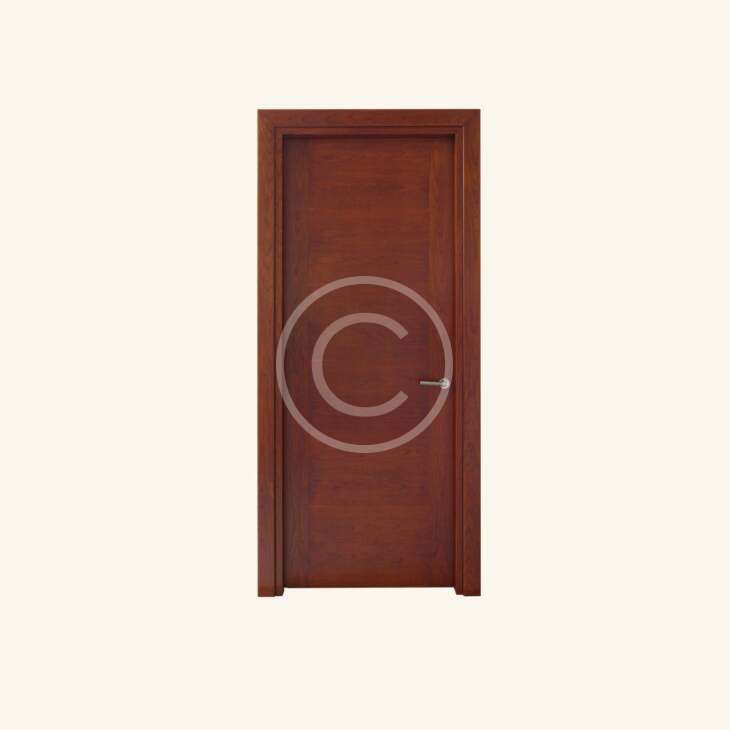 Premium entrance door - Görsel 2
